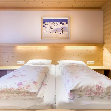 Alpenhof 3* Virgen