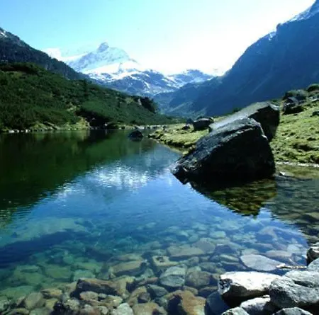 Bed & Breakfast Alpenhof 3*